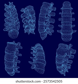 Series of blue images of a spine. The spine is shown in different positions and angles. The spine is shown in a 3D format, which gives it a more realistic appearance