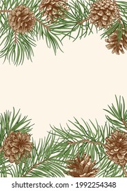 Series with branches pine, cones. Christmas botanical card. Vector illustration. Vintage traditional invitation. Vertical background. Colorful. 