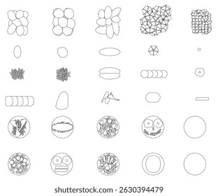 A series of drawings of food and plates. The drawings are all different sizes and shapes. Scene is playful and whimsical