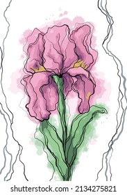 Series of drawn flowers, cockerel. Cover for notebooks, notepads