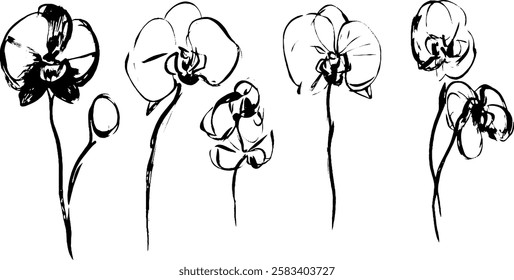 A series of five elegant sketches of orchids, showcasing their delicate petals and slender stems in a minimalist black and white style.