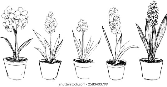 A series of five hand-drawn potted plants, showcasing different types of flowering plants with varying shapes and sizes. Each plant is depicted in a simple pot with detailed leaves and blooms.