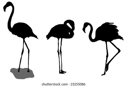 Series Flamingo Silhouettes Stock Vector (Royalty Free) 23255086 ...