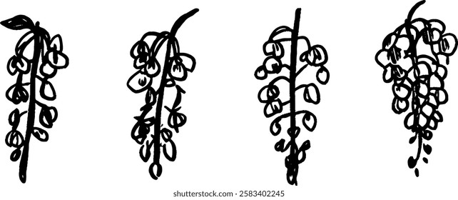 A series of four hand-drawn illustrations of hanging flowers, showcasing different styles and arrangements. Each flower cluster features elongated shapes and delicate petals.