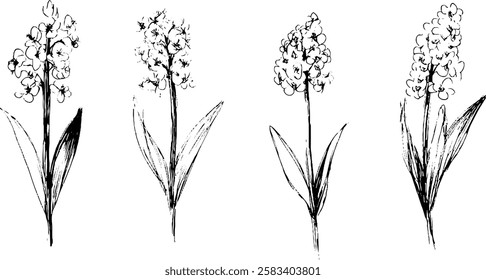 A series of four hand-drawn sketches of flowers, each with distinct shapes and sizes. The flowers are depicted with elongated stems and broad leaves, showcasing artistic variations in design.