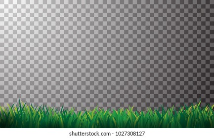 A series of grass Green line length to use such a design elements isolated from the transparent background.