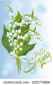 Series of greeting backgrounds with summer and spring flowers. Floral decorations with snowdrops and lilies of the valleys. Vector illustration. 