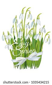 Series of greeting backgrounds with summer and spring flowers. Floral decorations with snowdrops and lilies of the valleys. Vector illustration. 