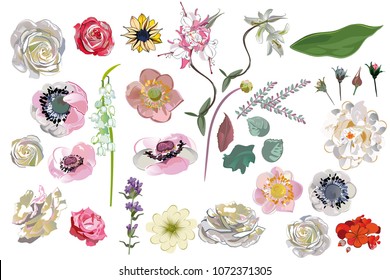 Series of greeting backgrounds with summer and spring flowers. Floral decorations with peonies, roses and dahlias. Vector illustration.