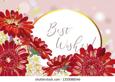 Series of greeting backgrounds with summer and spring flowers. Floral decorations with gerberas. Vector illustration. 