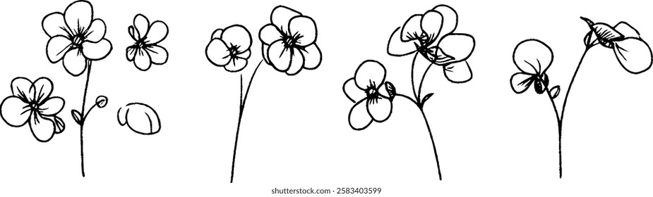 A series of hand-drawn flowers in various stages of bloom, showcasing delicate petals and slender stems. The illustrations are simple yet elegant, perfect for floral designs.