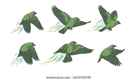 Uma série de ilustrações que retratam o voo gracioso de um pássaro com trilhas de movimento estilizadas mostrando seu movimento dinâmico pelo ar