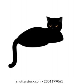Series illustrations life of black cat