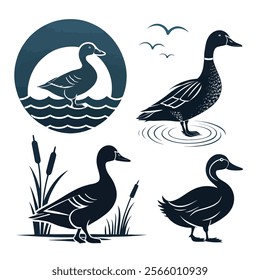 a series of images of ducks swimming in a line.