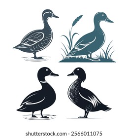 a series of images of ducks swimming in a line.