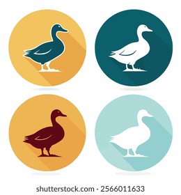 a series of images of ducks swimming in a line.