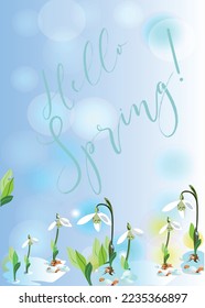Serie de antecedentes de marco de invitación con flores y hojas de verano y primavera. Ilustración vectorial dibujada a mano.