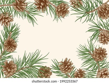 Series with pine branches, cones. Christmas horizontal frame with coniferous. Botanical vector illustration. Green and red.