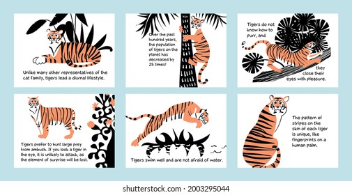 A series of postcards about tigers.hand drawings of tigers in nature. Static and dynamic poses, Black, white, orange colors.