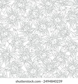 Series of seamless flower pattern motif galore in rustic floral scandinavian outline line for textile fabric wallpaper paper wrap print
