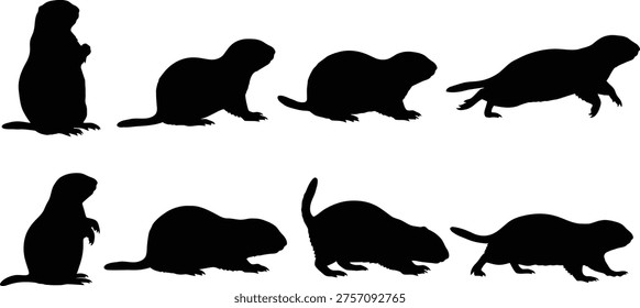 A series of silhouettes showing a creature transforming from a tall standing position to various crawling postures