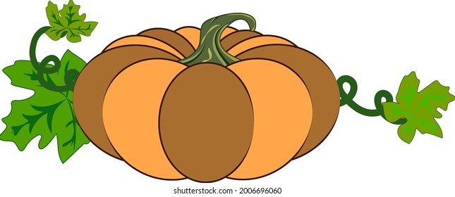 A series of striped orange pumpkins isolated on a white background.