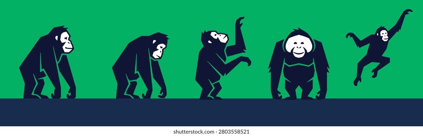 A series of stylized illustrations depicting the evolutionary stages of primates, from ape-like creatures to a more upright, dynamic figure.