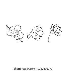 Series of three flowers made in linear technique 2
