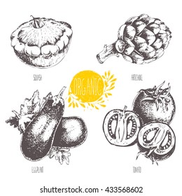 Series - vector fruit and spices. Hand-drawn illustration. Sketch. Healthy food. Linear graphic. Set of artichoke, tomato, eggplant, courgette.