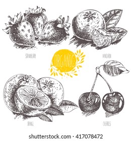 Series - vector fruit, vegetables and spices. Hand-drawn illustration in vintage style. Sketch. Healthy food. Linear graphic. Set of  strawberry, cherry, mandarin, orange.
