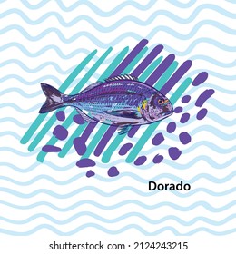 A series of vector illustrations depicting commercial saltwater fish. As a decoration or design element for packaging or publications. Sketch style, sketch, doodle. Sea fish tuna, dorado, goby, catfis