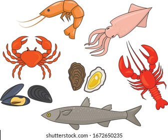 A series of vector illustrations with seafood.