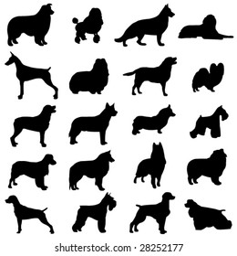 Series of world-famous dogs