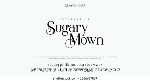 Serif classic design font vector illustration of alphabet letters.