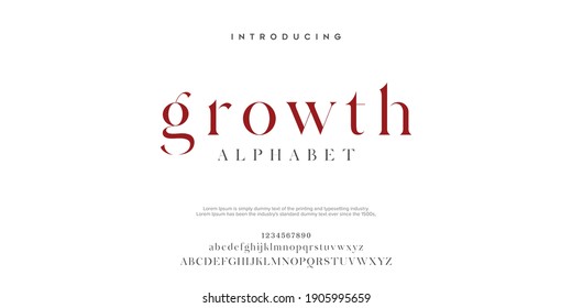 Serif Classic Design Font Vector Illustration Of Alphabet Letters.