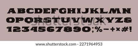 Serif font in the style of handmade graphics. Letters and numbers with retro texture for emblem and logo design 