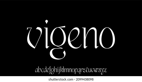 serif modern alphabet font vector