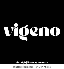serif modern alphabet font vector