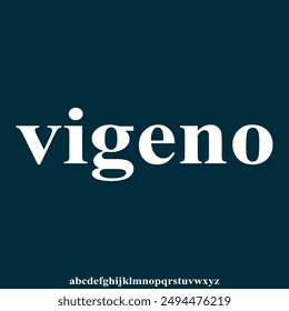 serif modern alphabet font vector