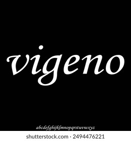 serif modern alphabet font vector