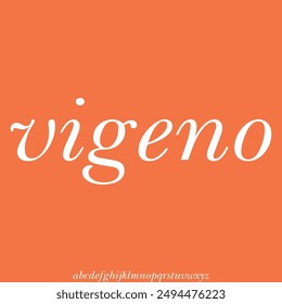 serif modern alphabet font vector