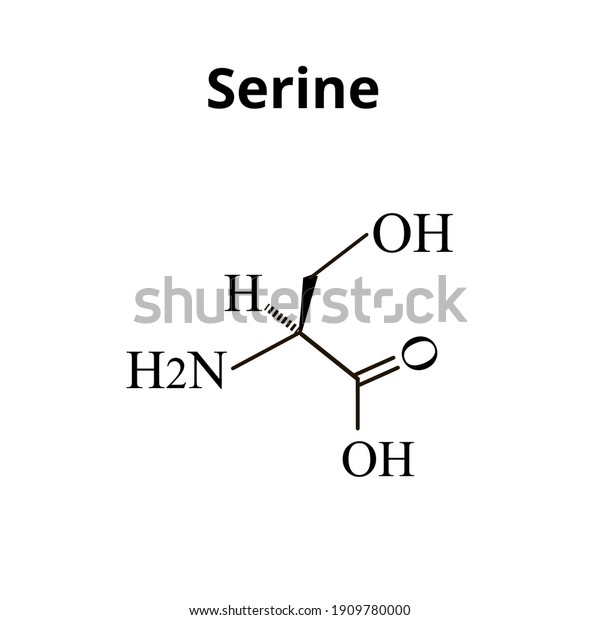 Serine amino acid.\
Chemical molecular formula Serine amino acid. Vector illustration\
on isolated background
