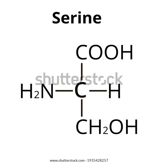 Serine amino acid.\
Chemical molecular formula Serine amino acid. Vector illustration\
on isolated background
