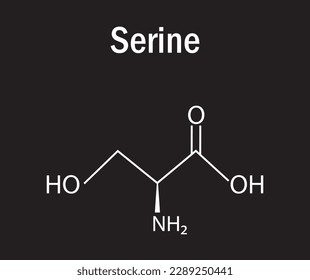 Serine amino acid  formula and structure. Chemical molecular formula.  Study content for science students. Vector illustration.
