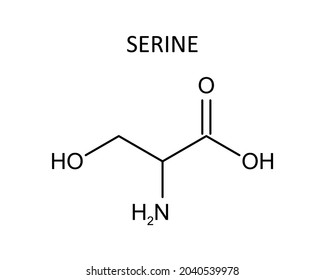 Serine chemical formula. Vector editable