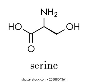 Serine Lserine Ser S Amino Acid Stock Vector (Royalty Free) 2038804364 ...