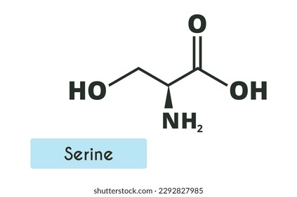 Serine Molecule Structure. (l-serine, Ser, S). Skeletal formula. Amino acid.