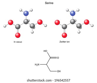 Serine (Ser) - chemical structural formula and models, amino acid, in vacuo, zwitterion, 2D and 3D illustration, balls and sticks, isolated on white background, vector, eps8