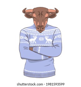Serious bull in a sweater with a winter pattern with deer. Vector print illustration for sweatshirts, sweatshirts, t-shirts, posters, cards, pet supplies