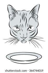 Serious cat with a plate